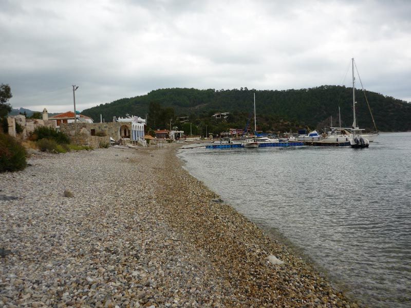 P1050871.jpg
