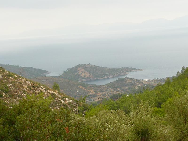 P1050875.jpg