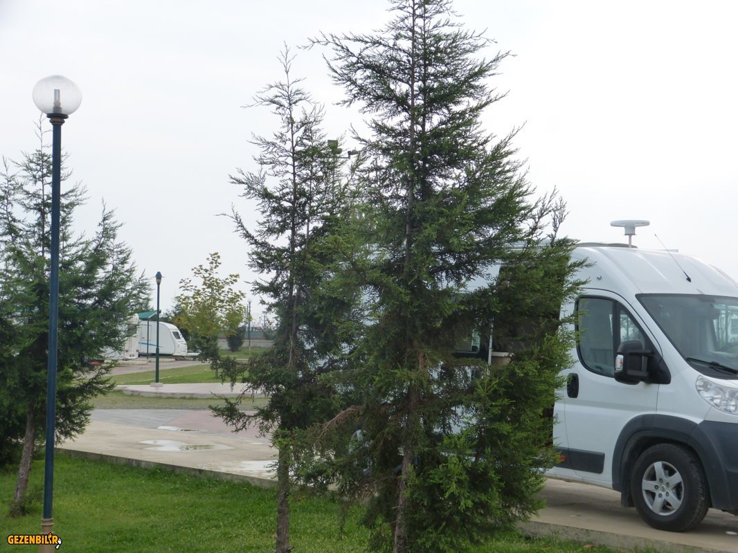 P1050886.JPG