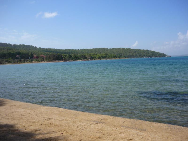 P1050970.jpg