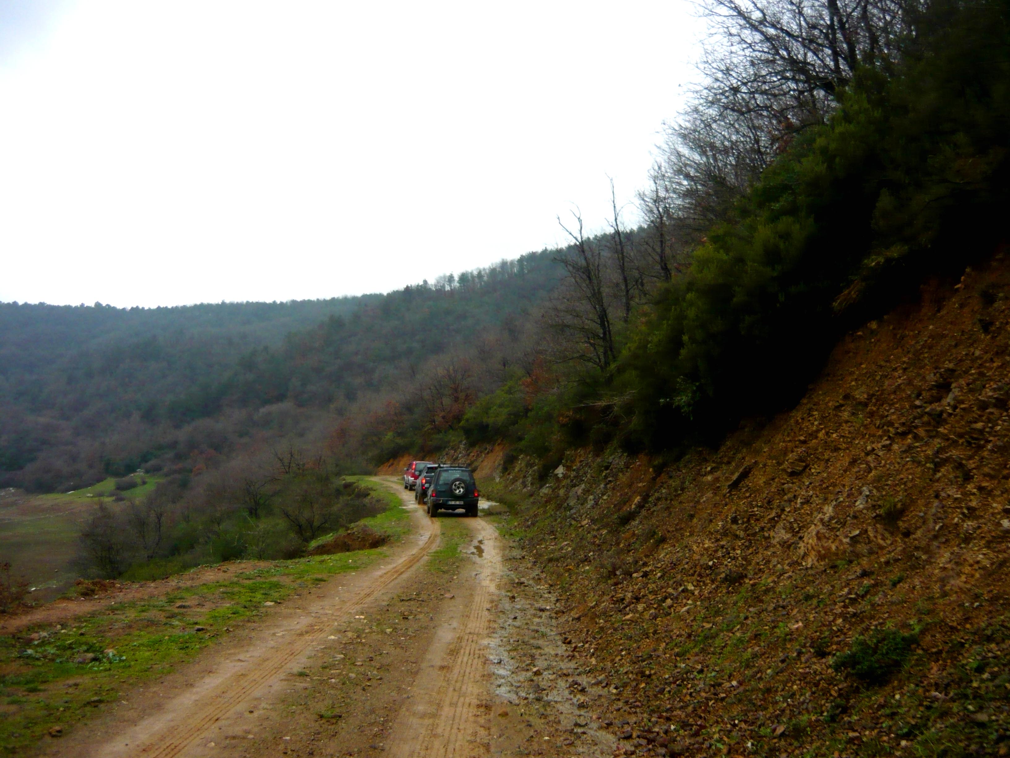 P1060058.jpg