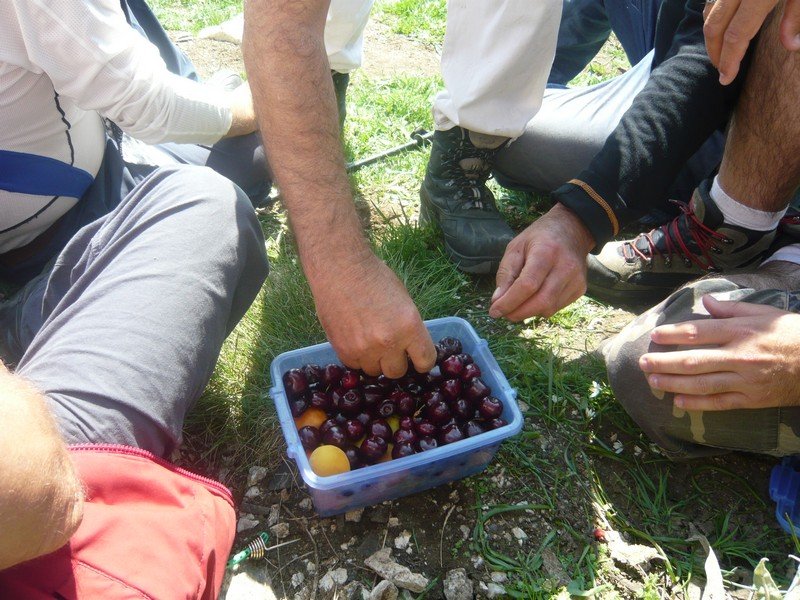 P1060199.jpg