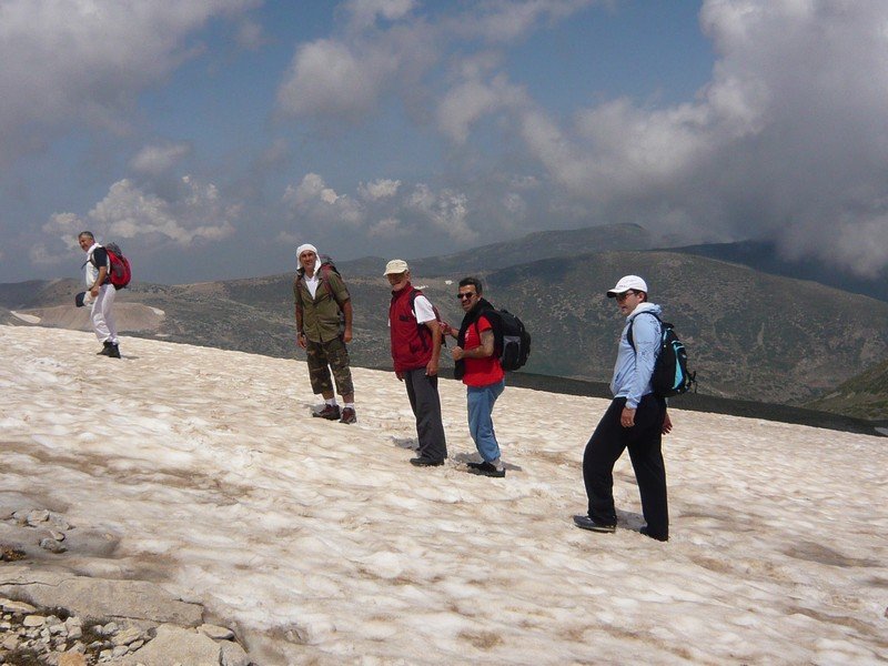 P1060289.jpg