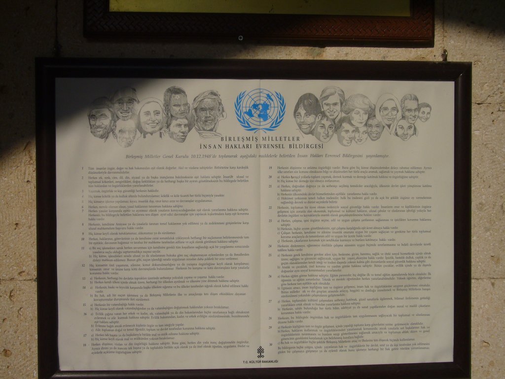 P1060332.JPG