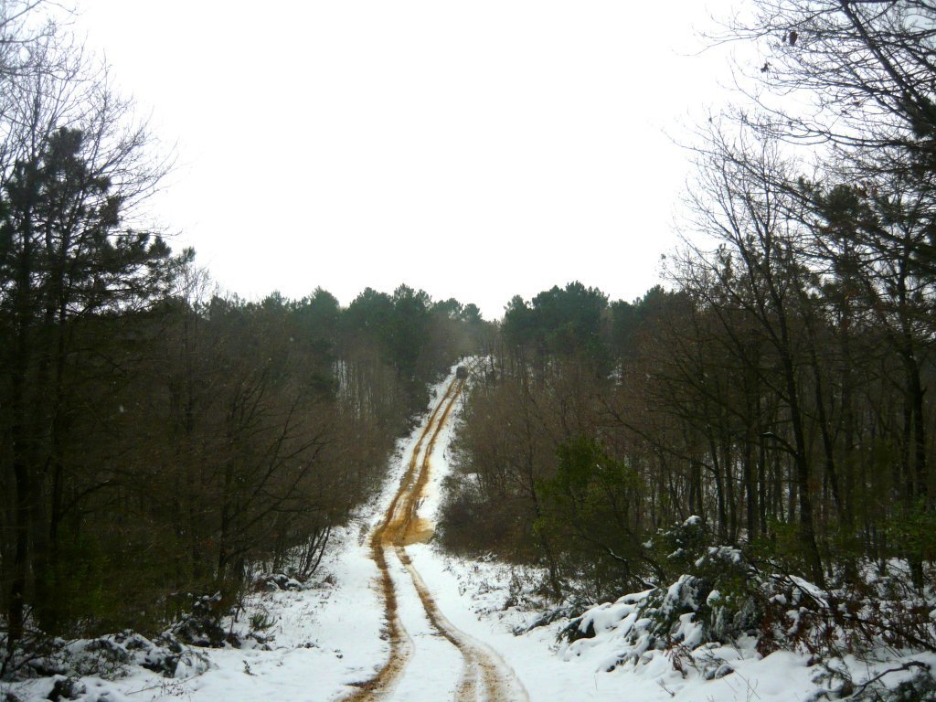 P1060400.JPG