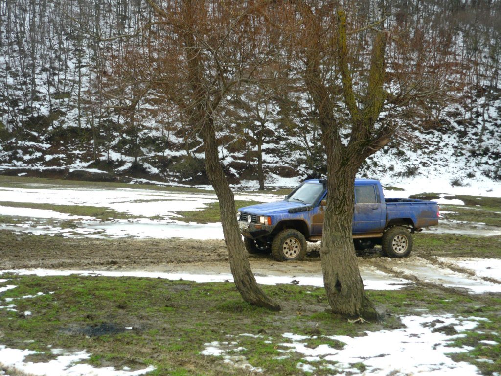 P1060436.JPG