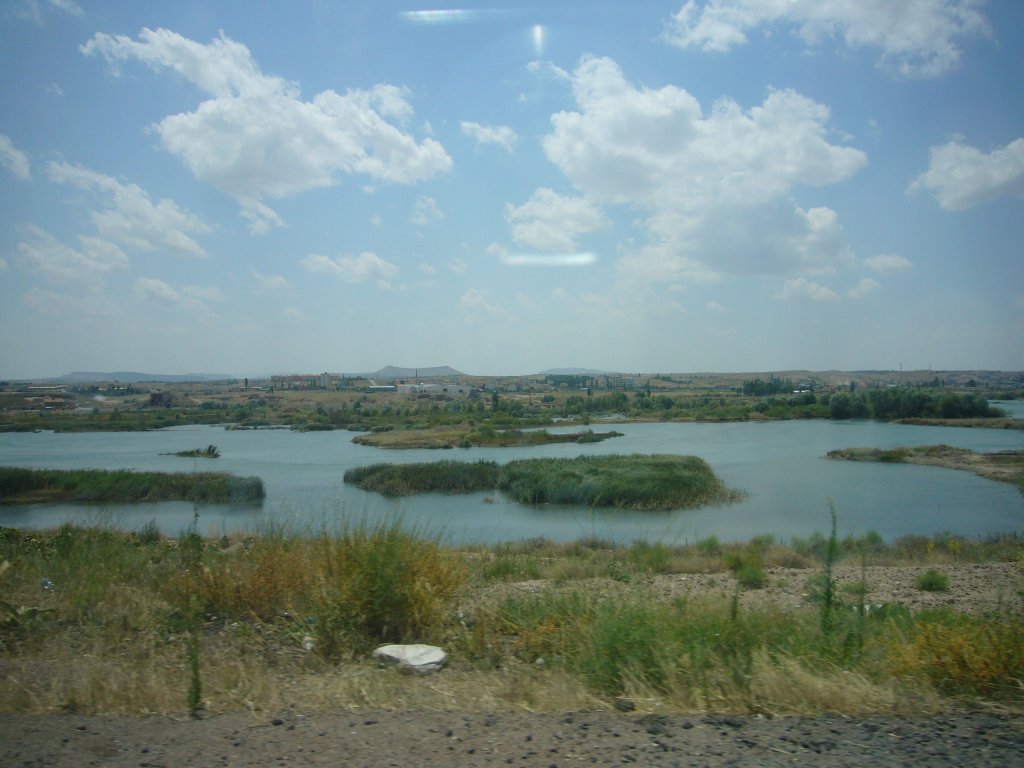 P1060469.JPG