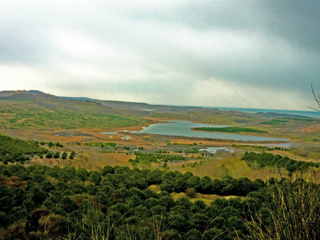 P1060570.JPG