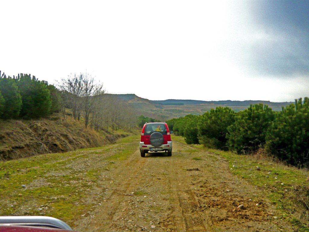 P1060584.JPG