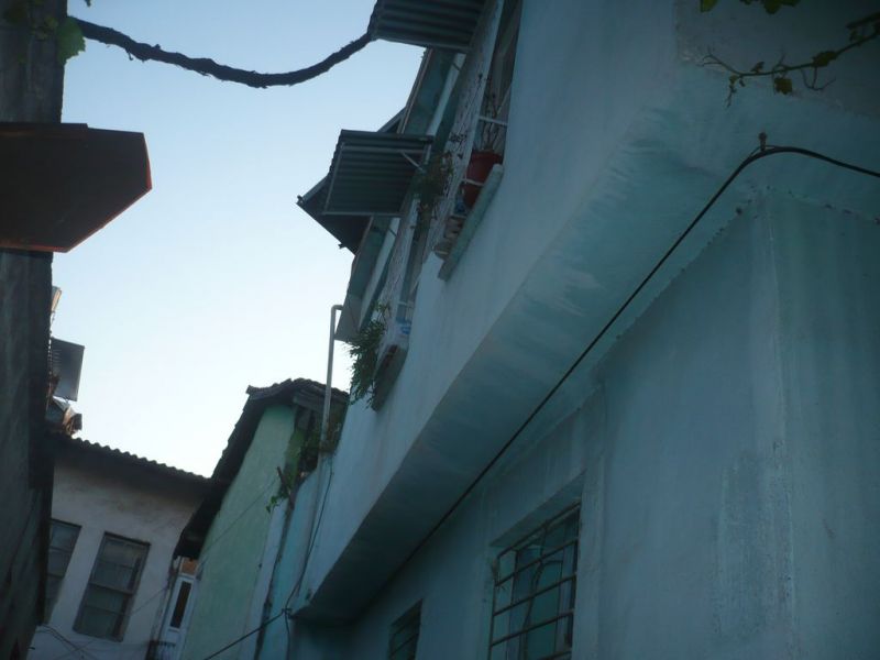 P1070022 [Desktop Resolution].jpg