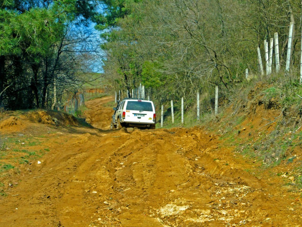 P1070062.JPG