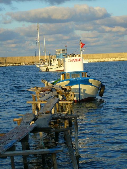 P1070335.jpg
