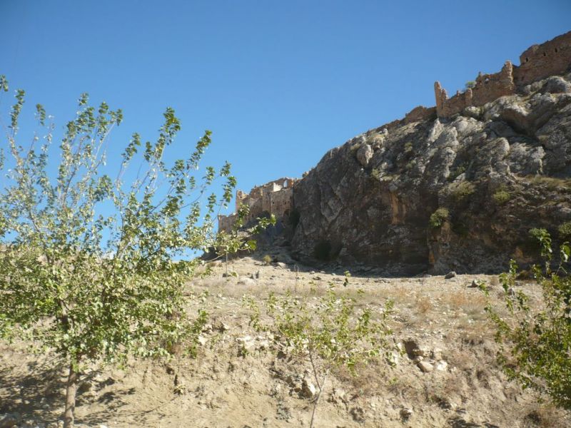P1070566 [Desktop Resolution].jpg