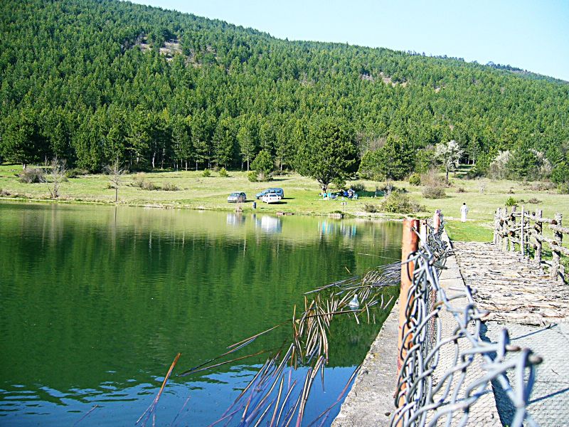 P1090015.jpg