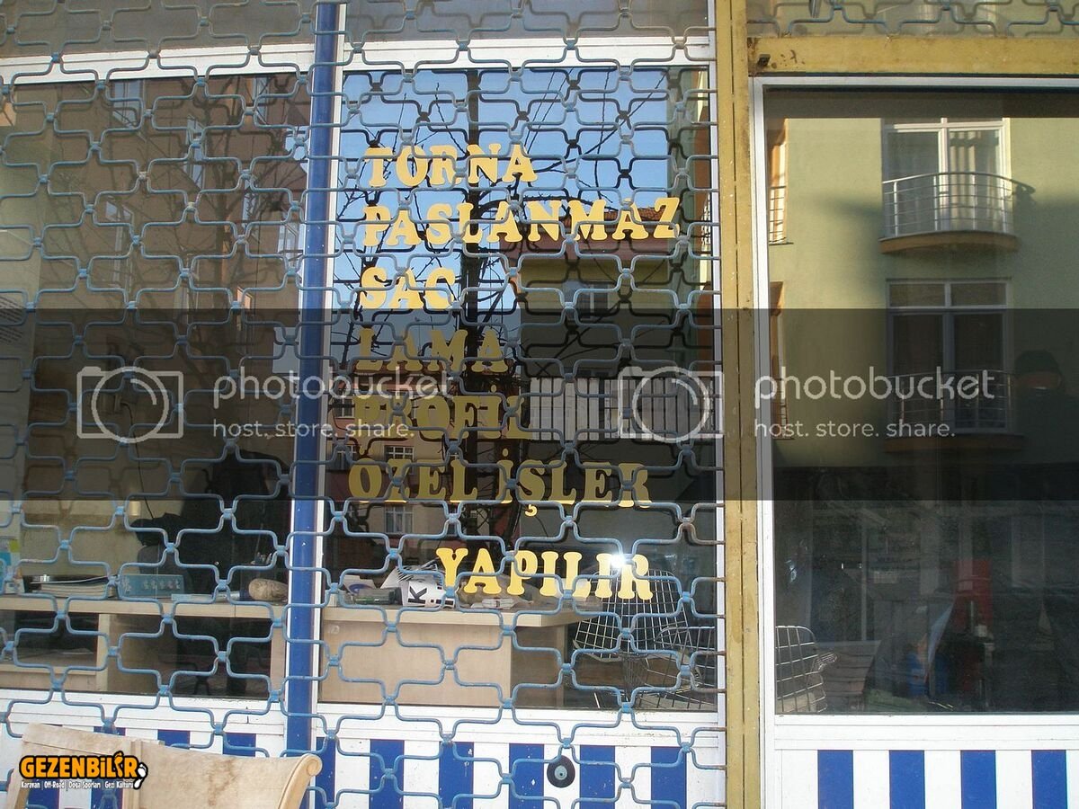 P1090273.jpg