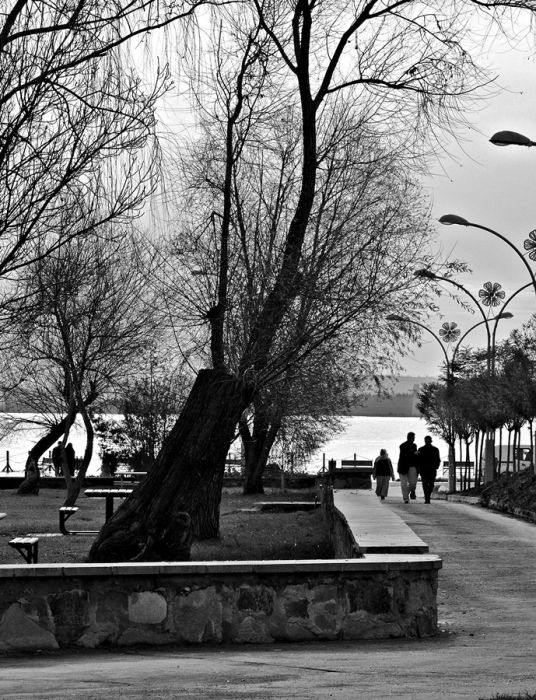 P1090538_1.jpg