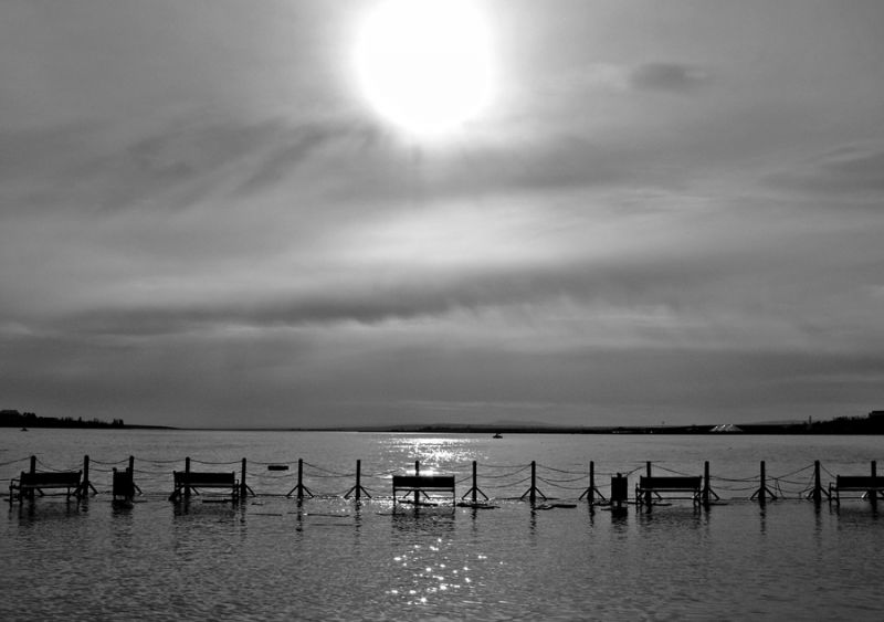 P1090540_1.jpg