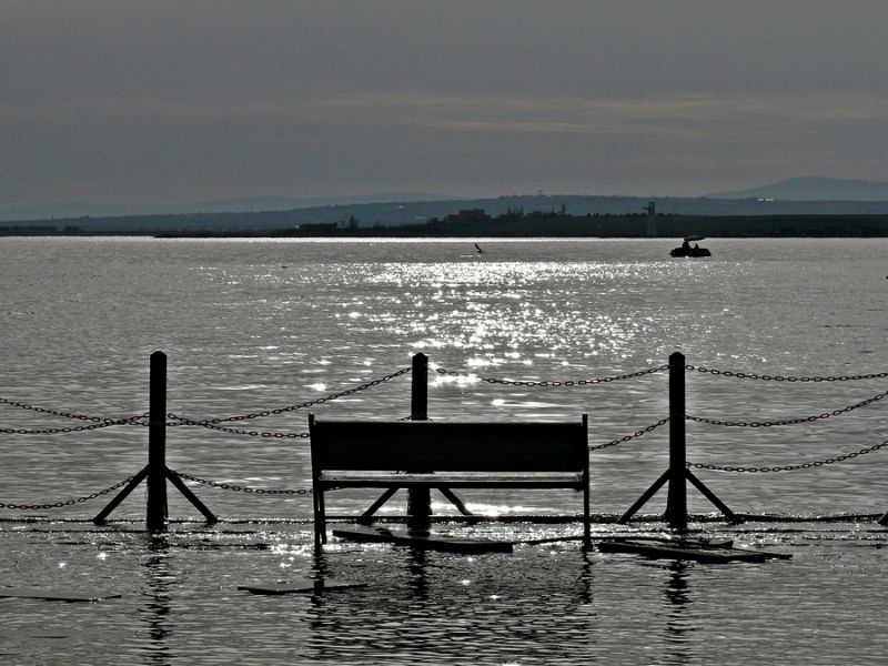 P1090542_1.jpg
