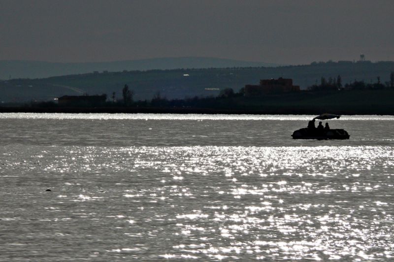 P1090543_1.jpg