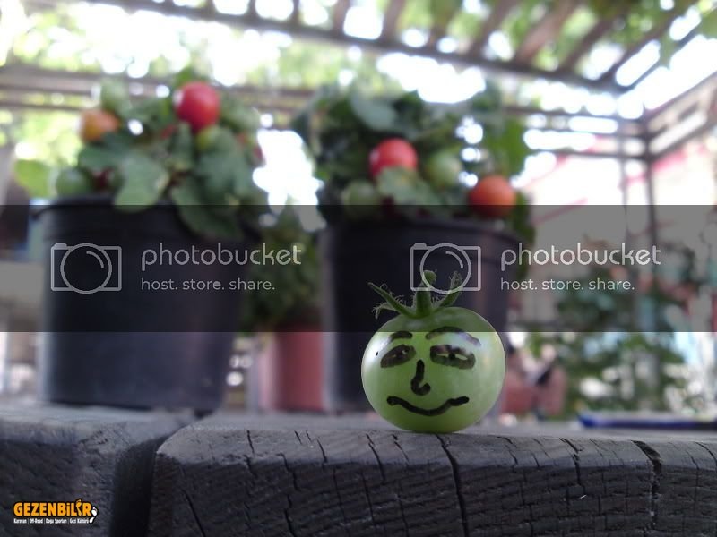 P11-06-10_1133-1.jpg