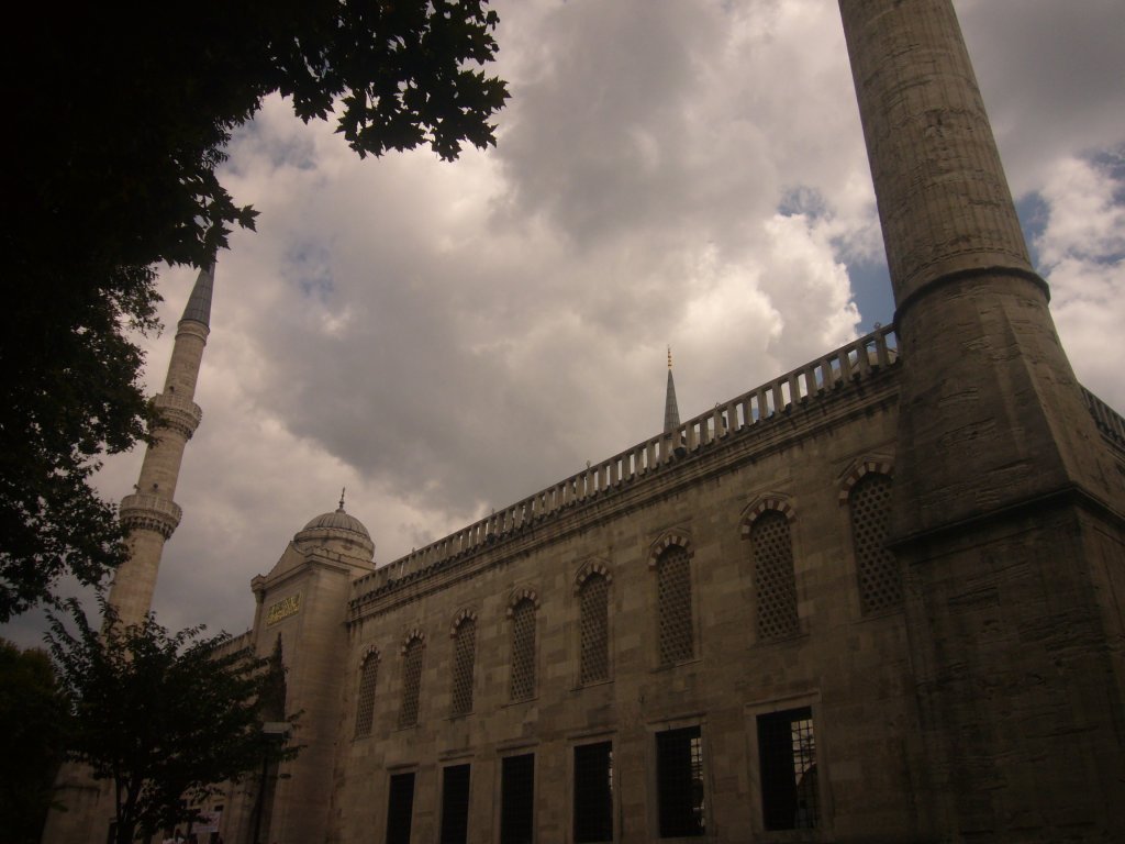 P1100271.JPG