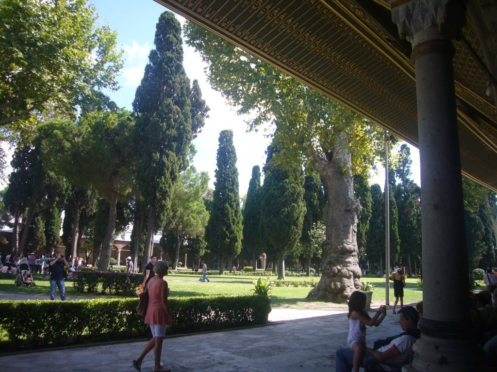 P1100434.JPG