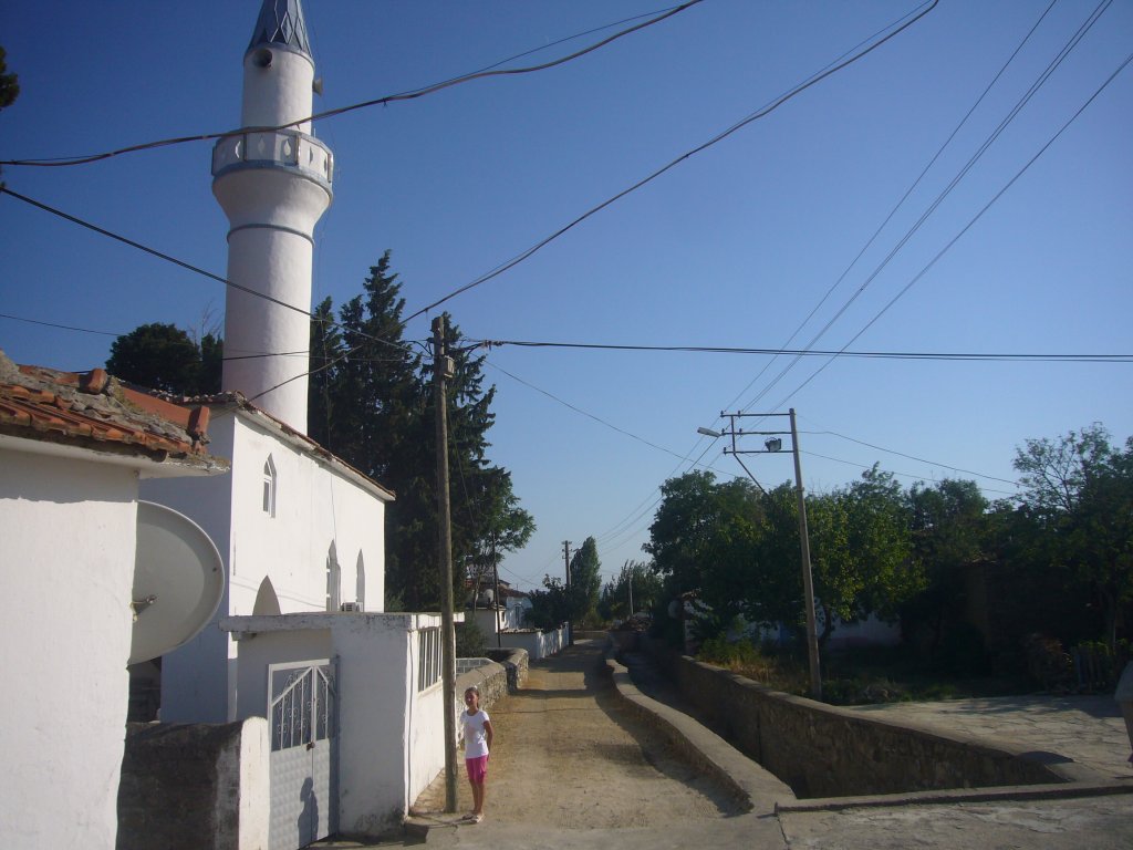 P1100519.JPG