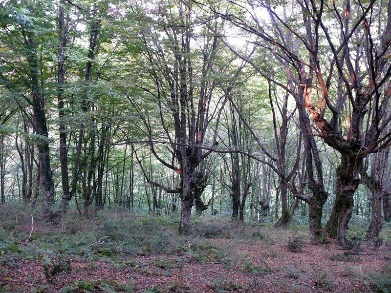 P1100677_r.JPG