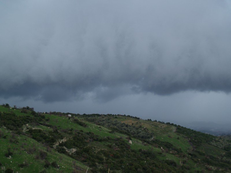 P1104267.jpg