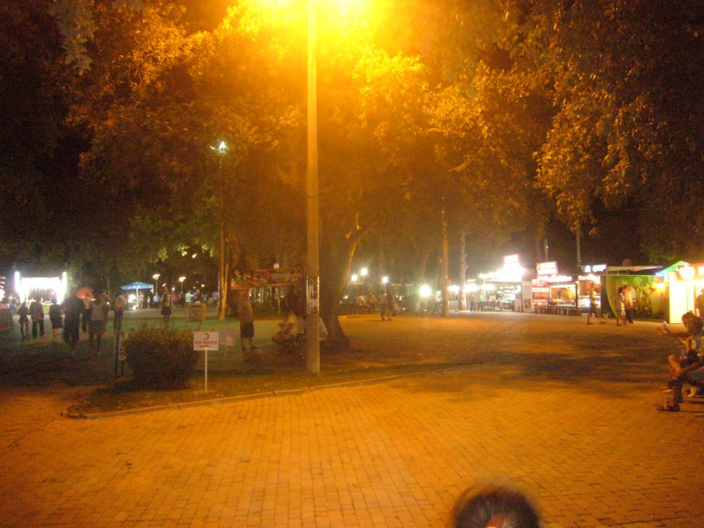 P1110041.JPG