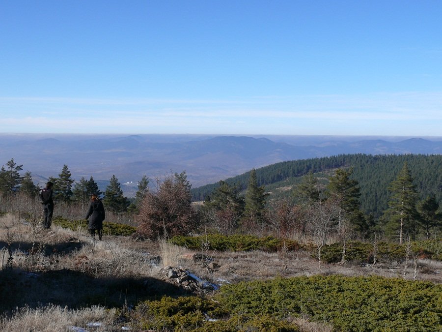 P1110232_r.JPG