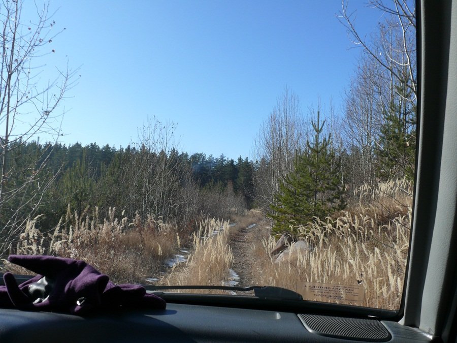 P1110237_r.JPG