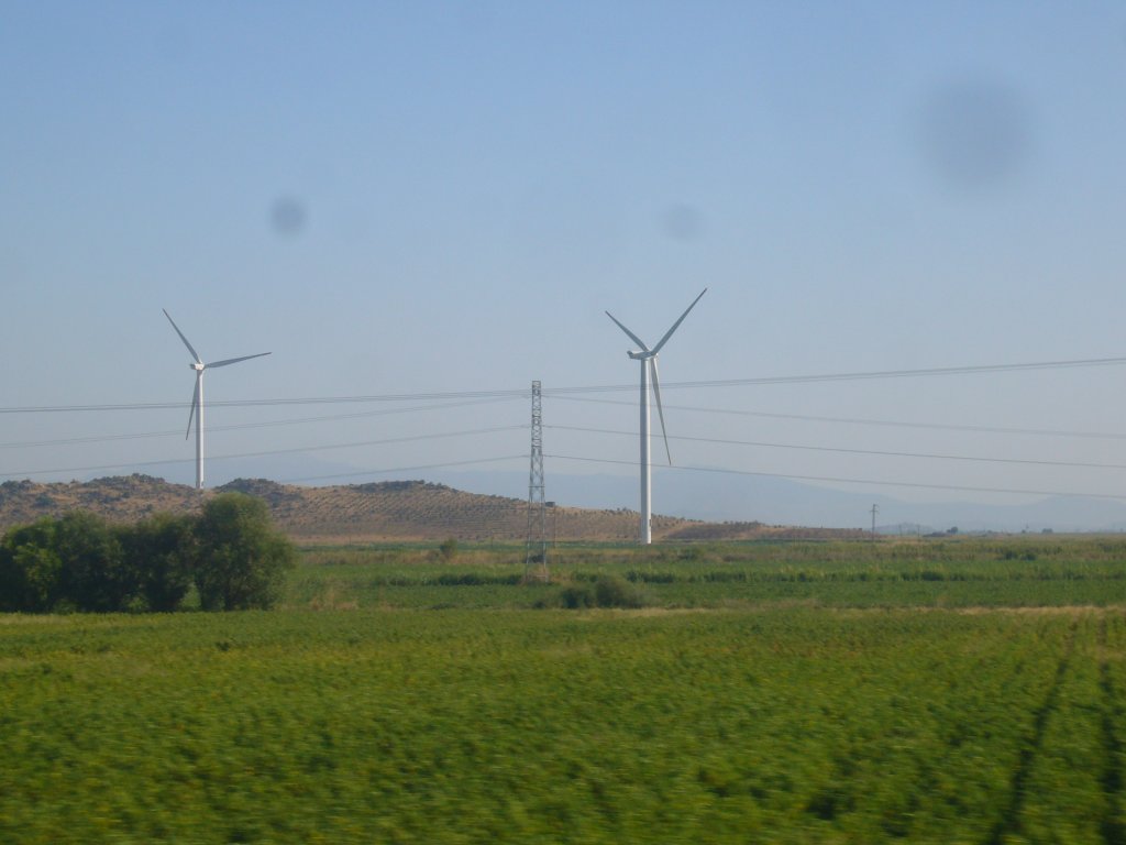 P1110239.JPG