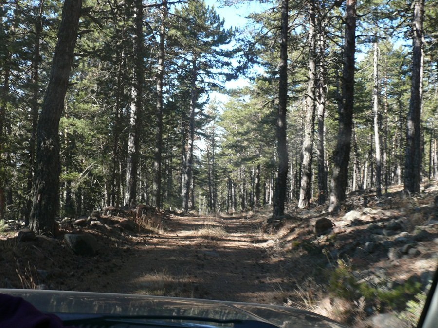 P1110239_r.JPG