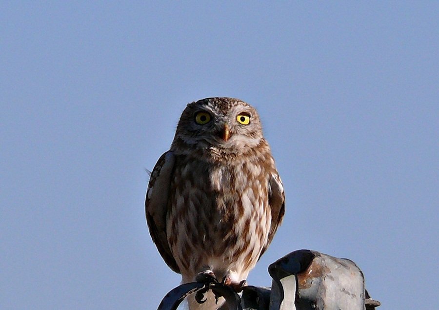 P1110245_r.JPG