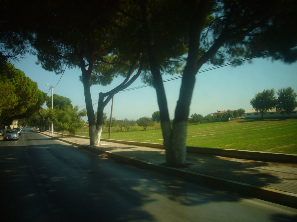 P1110247.JPG