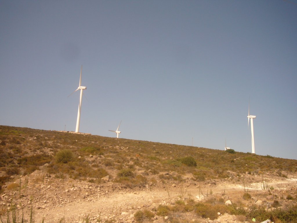 P1110268.JPG