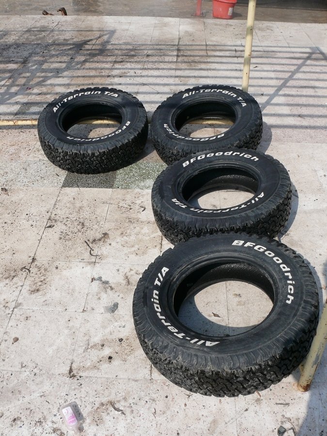 P1110984_r.JPG