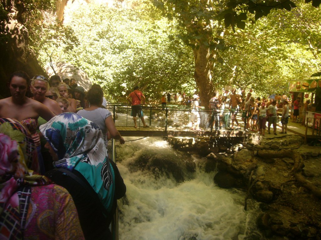 P1120184.JPG