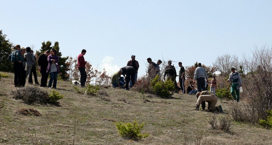 P1120521_r.JPG