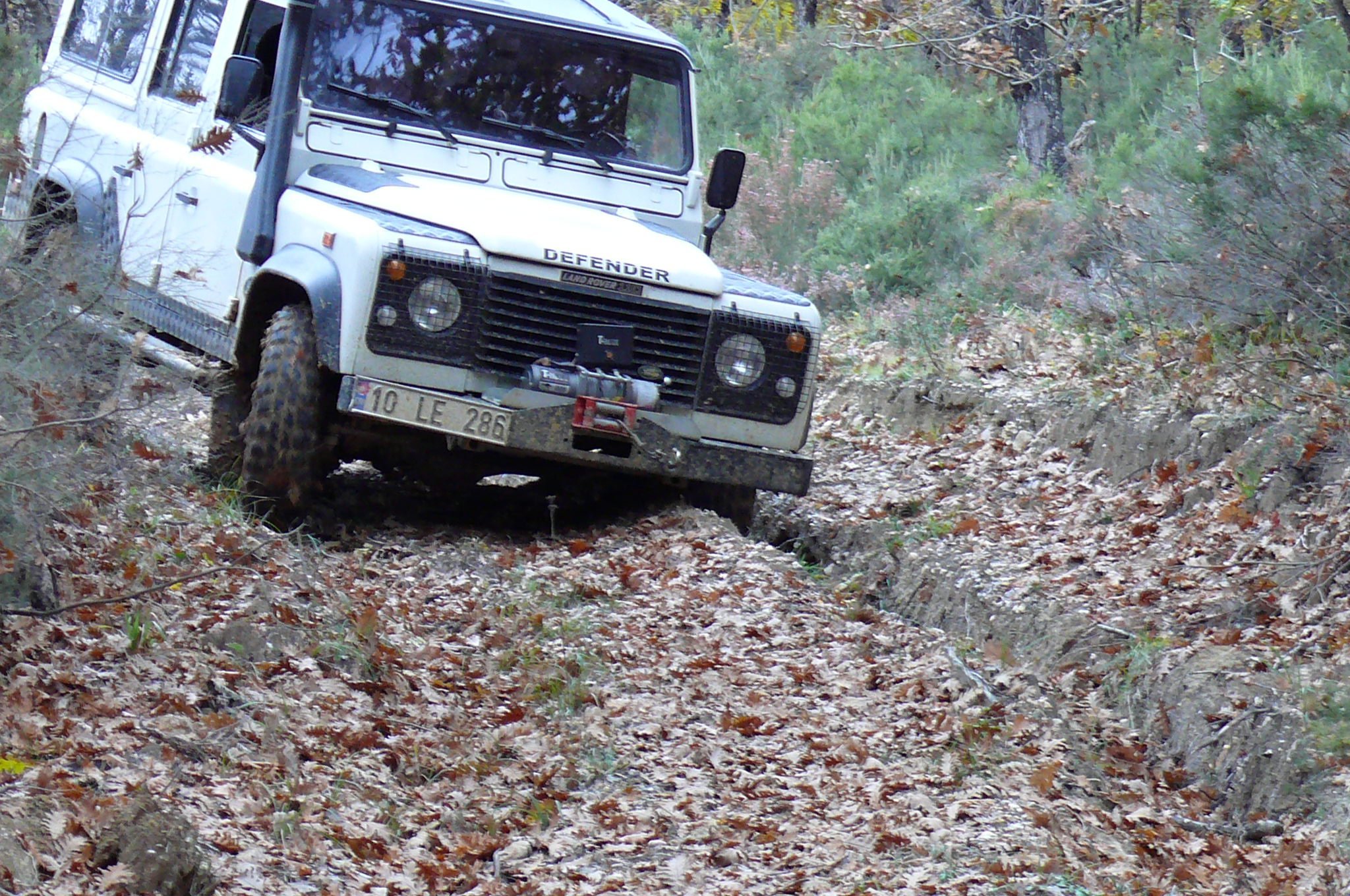 P1120703.jpg