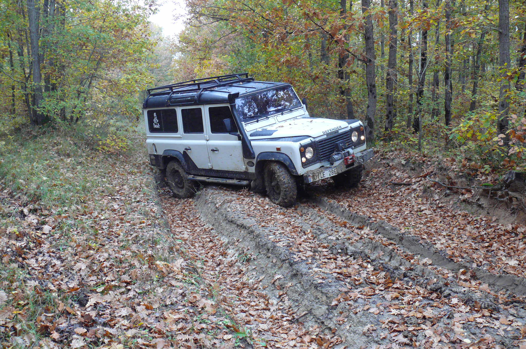 P1120776.jpg