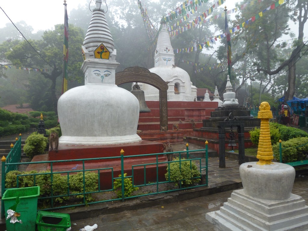 P1130454.JPG