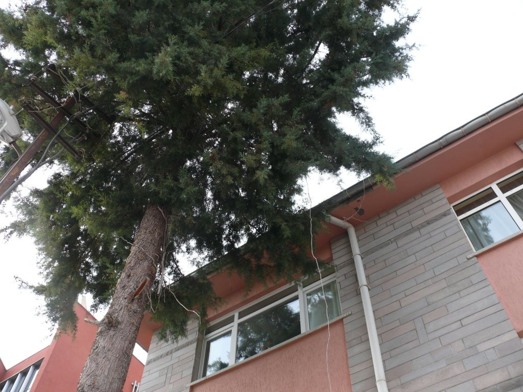 P1130688.JPG