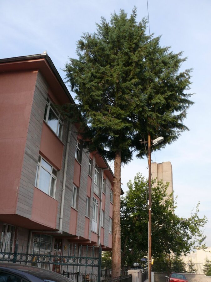 P1130689.JPG