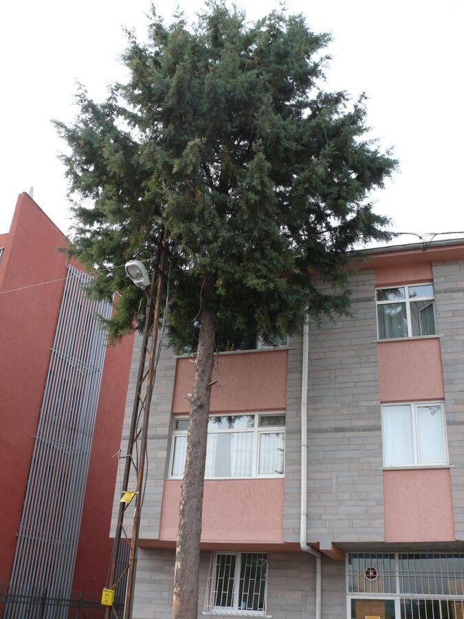 P1130691.JPG