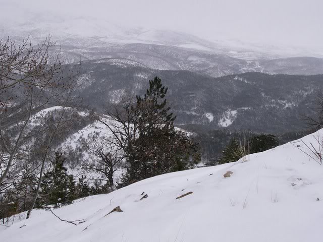 P1140820.jpg