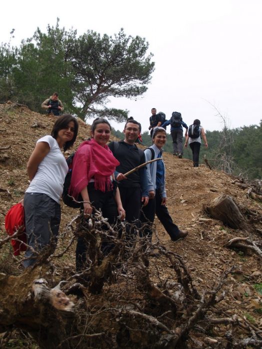 P1163389.jpg
