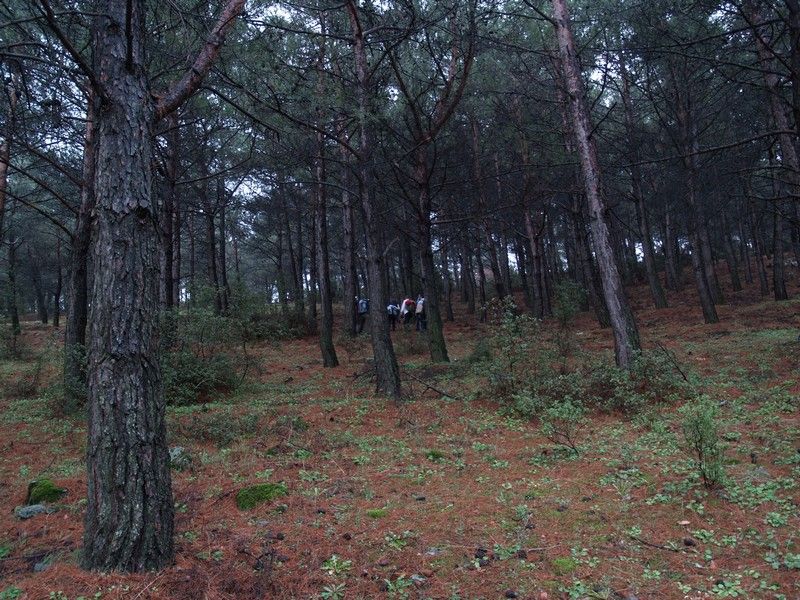 P1174366.jpg