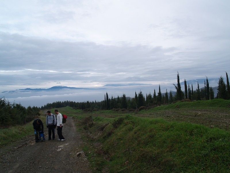 P1174410.jpg